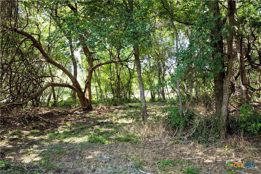 20.3 acres in Lavaca County - photo 3