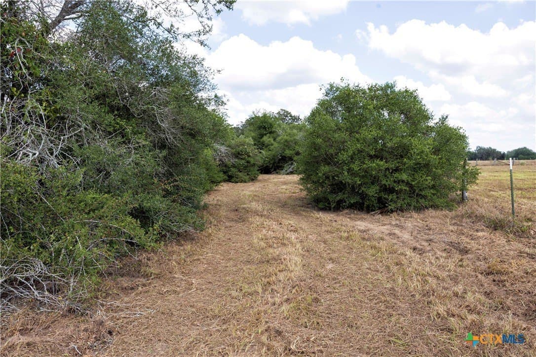 20.3 acres in Lavaca County - photo 21