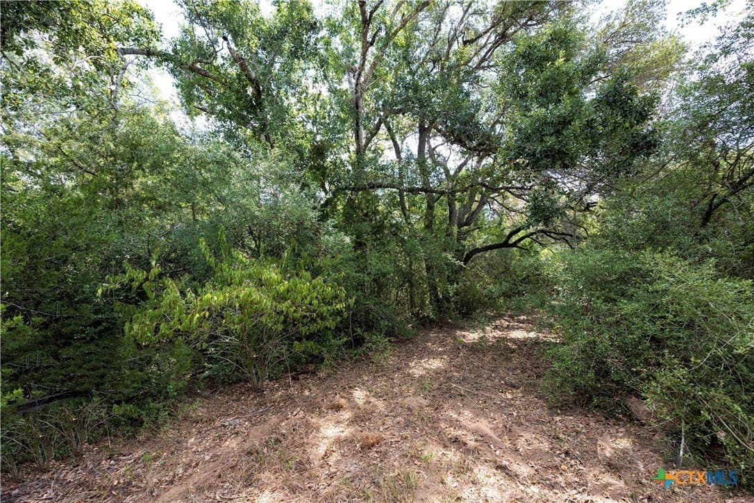 20.3 acres in Lavaca County - photo 7