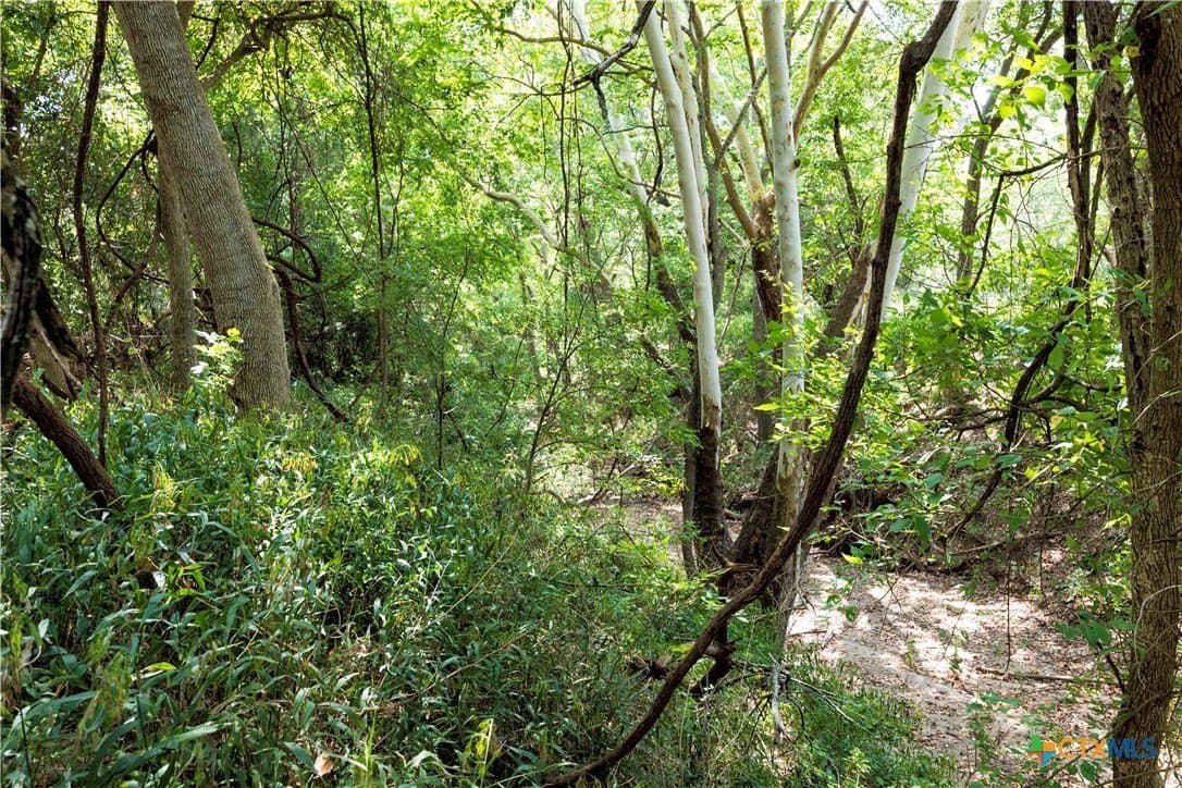 20.3 acres in Lavaca County - photo 6