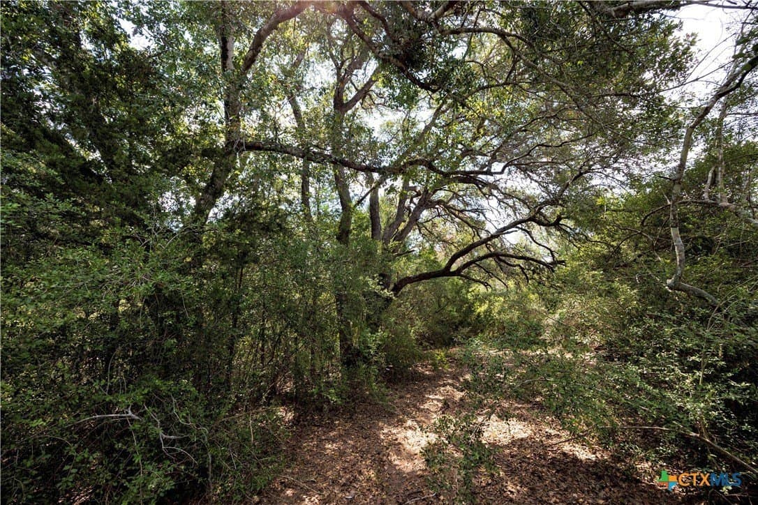 20.3 acres in Lavaca County - photo 5