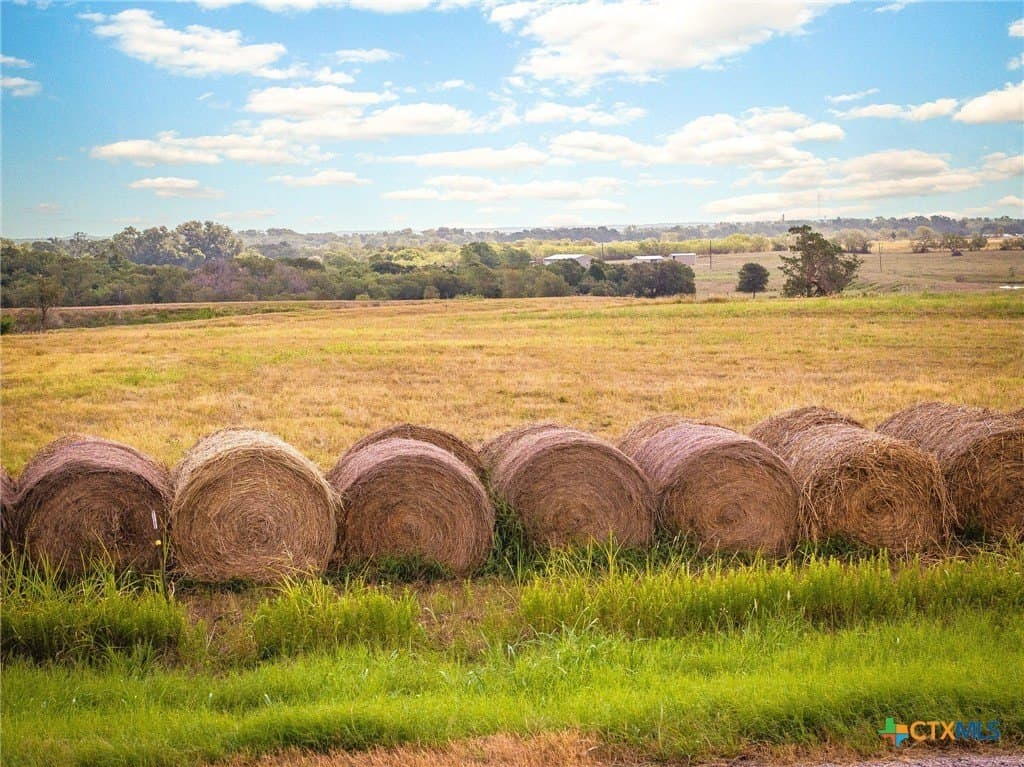 21.47 acres in Guadalupe County - photo 11