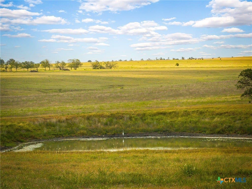 21.47 acres in Guadalupe County - photo 9