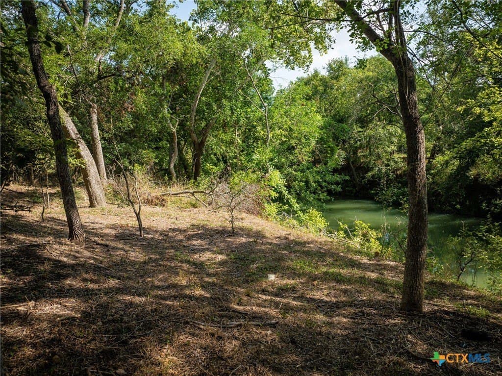 21.47 acres in Guadalupe County - photo 4