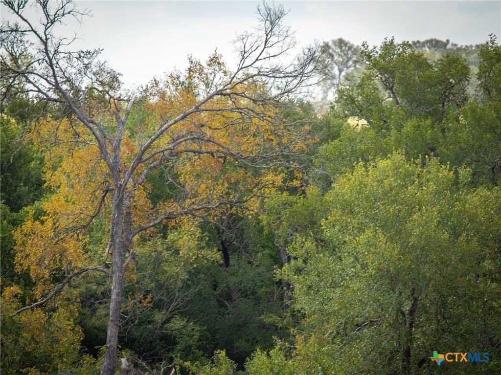 21.47 acres in Guadalupe County - photo 22