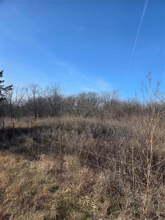 0.19 acres in Hill County - photo 3