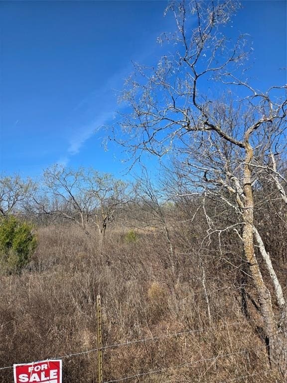 0.19 acres in Hill County - photo 2
