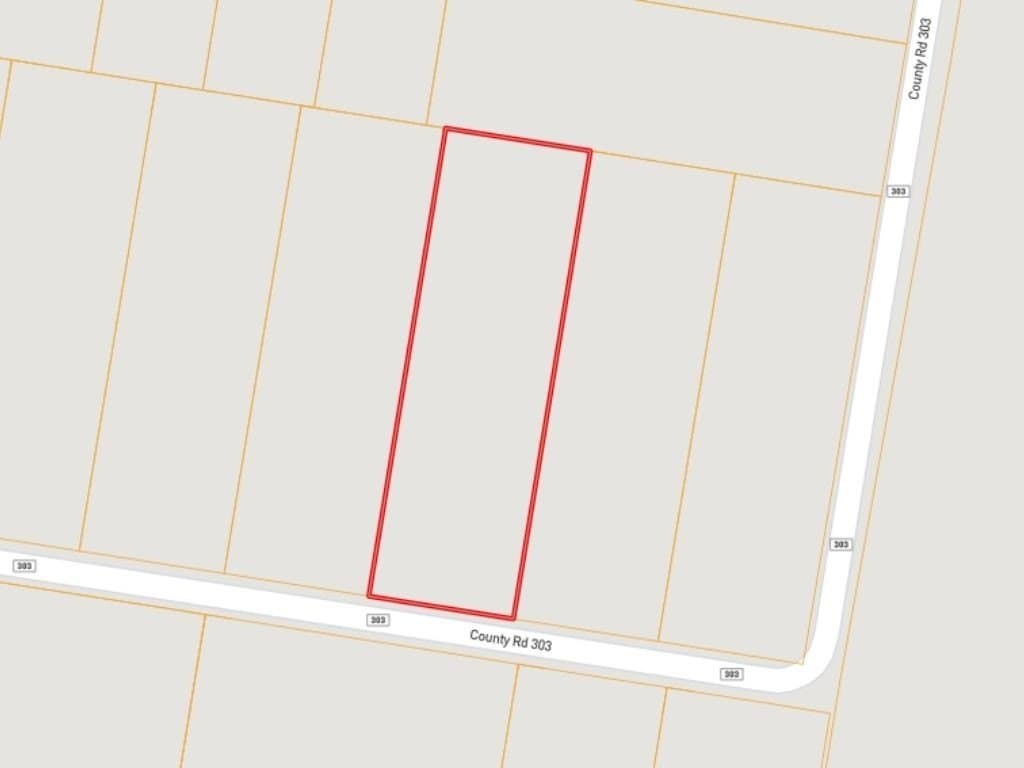 1.49 acres in Jim Wells County - photo 6