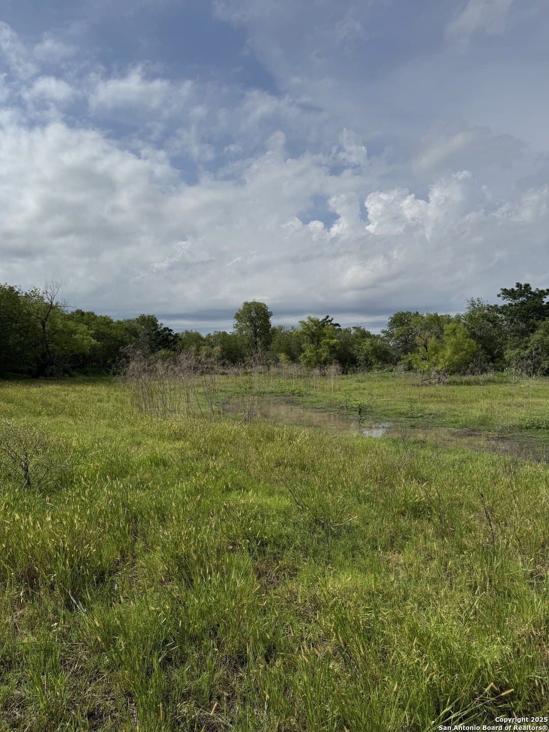 10.67 acres in Atascosa County - photo 5