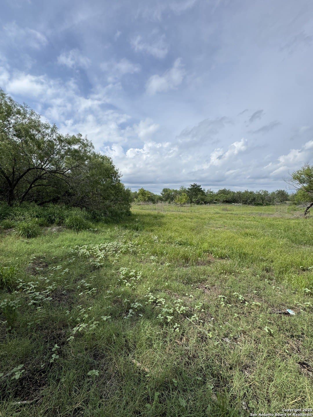 10.67 acres in Atascosa County - photo 4