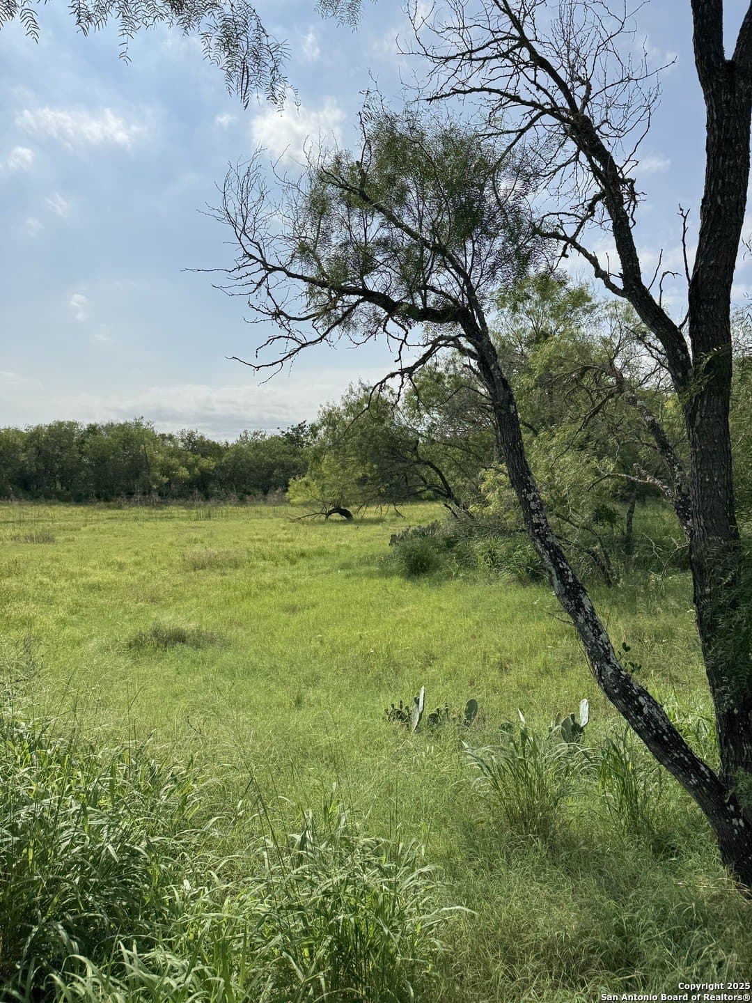 10.67 acres in Atascosa County - photo 3