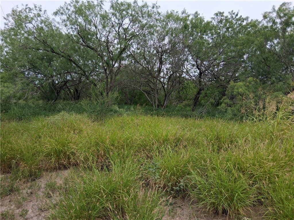 2.5 acres in Live Oak County - photo 4