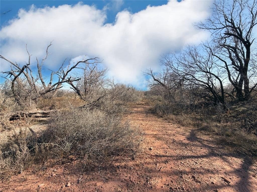 12.59 acres in Jones County - photo 36