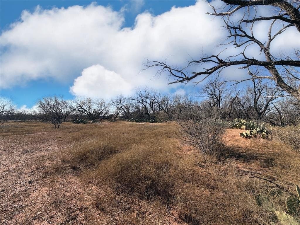 12.59 acres in Jones County - photo 35