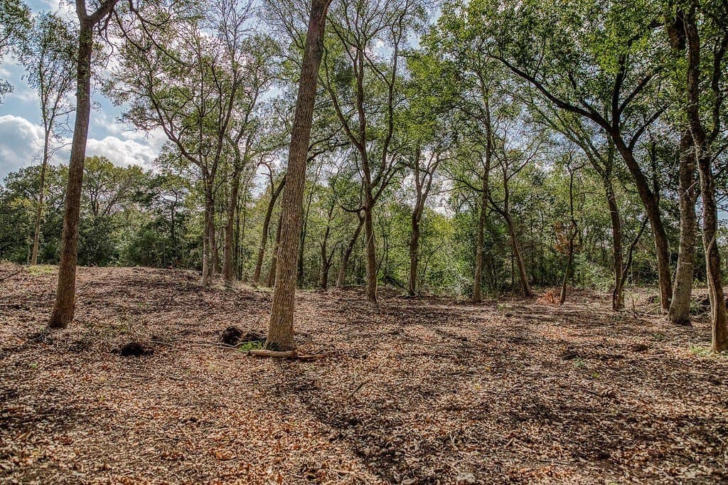 11.7 acres in Washington County - photo 21
