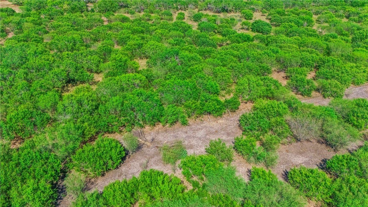 11 acres in San Patricio County - photo 9