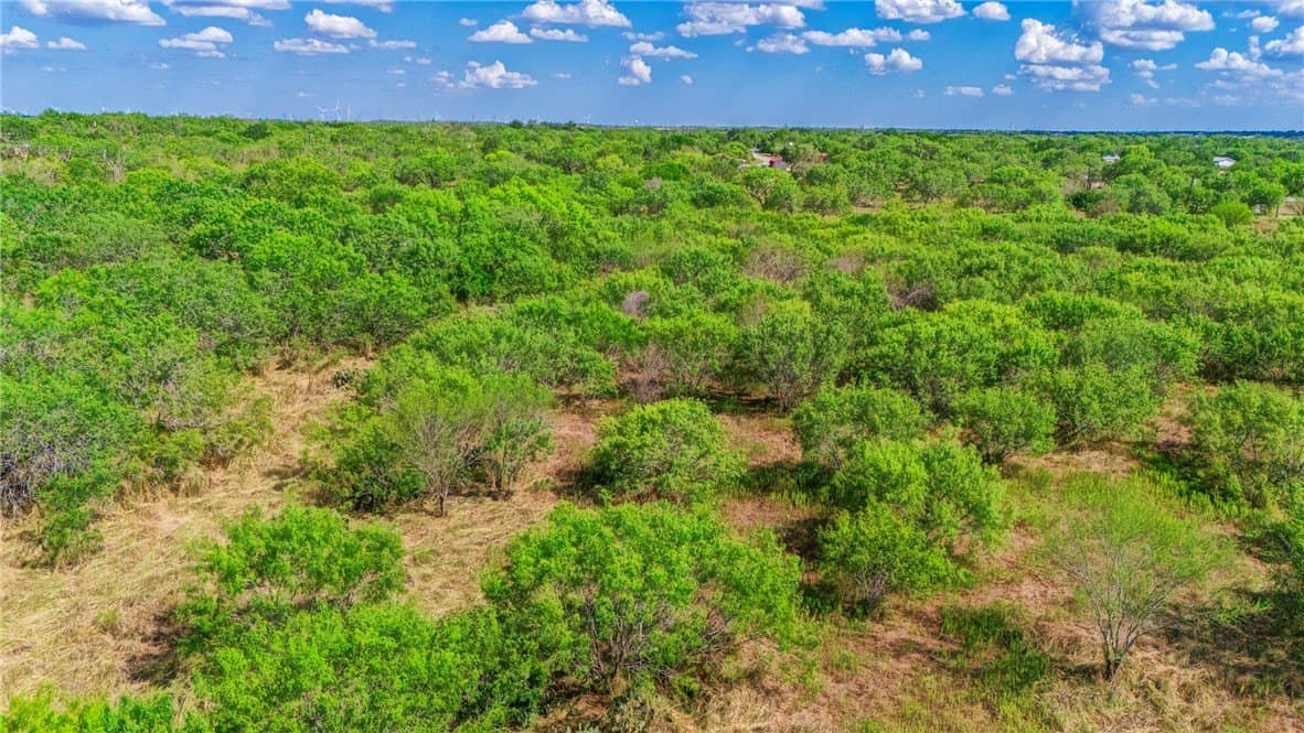11 acres in San Patricio County - photo 12
