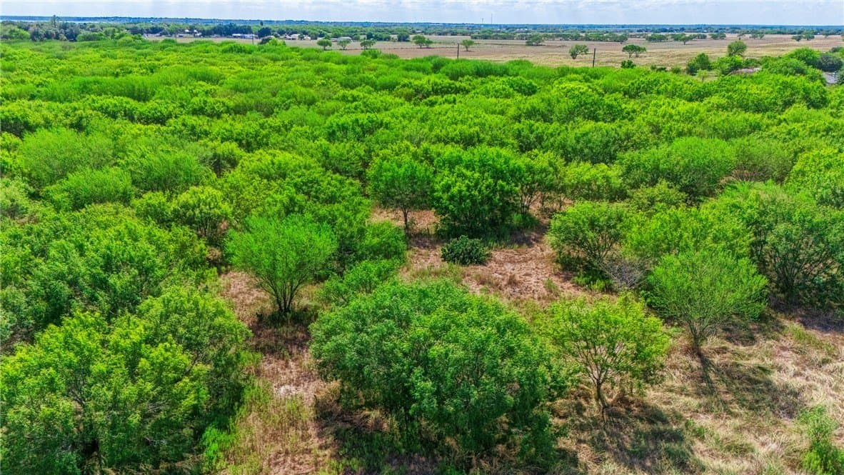 11 acres in San Patricio County - photo 13