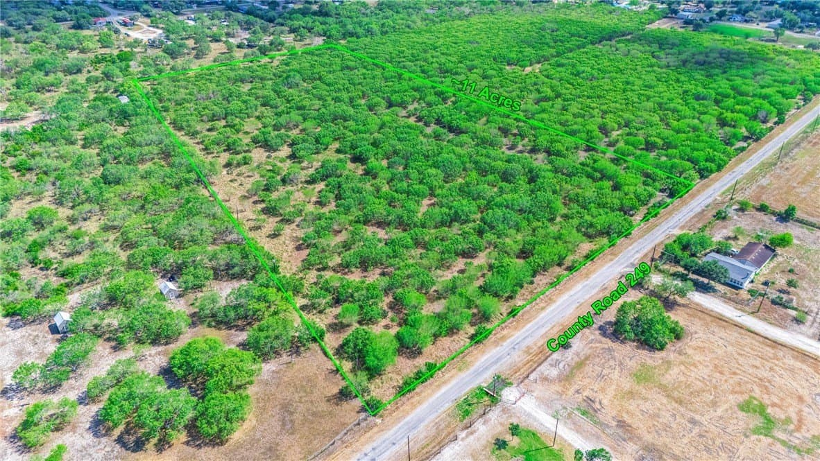 11 acres in San Patricio County - photo 4