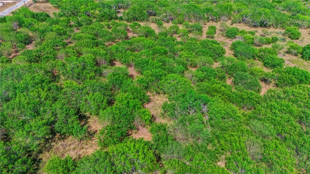 11 acres in San Patricio County - photo 10