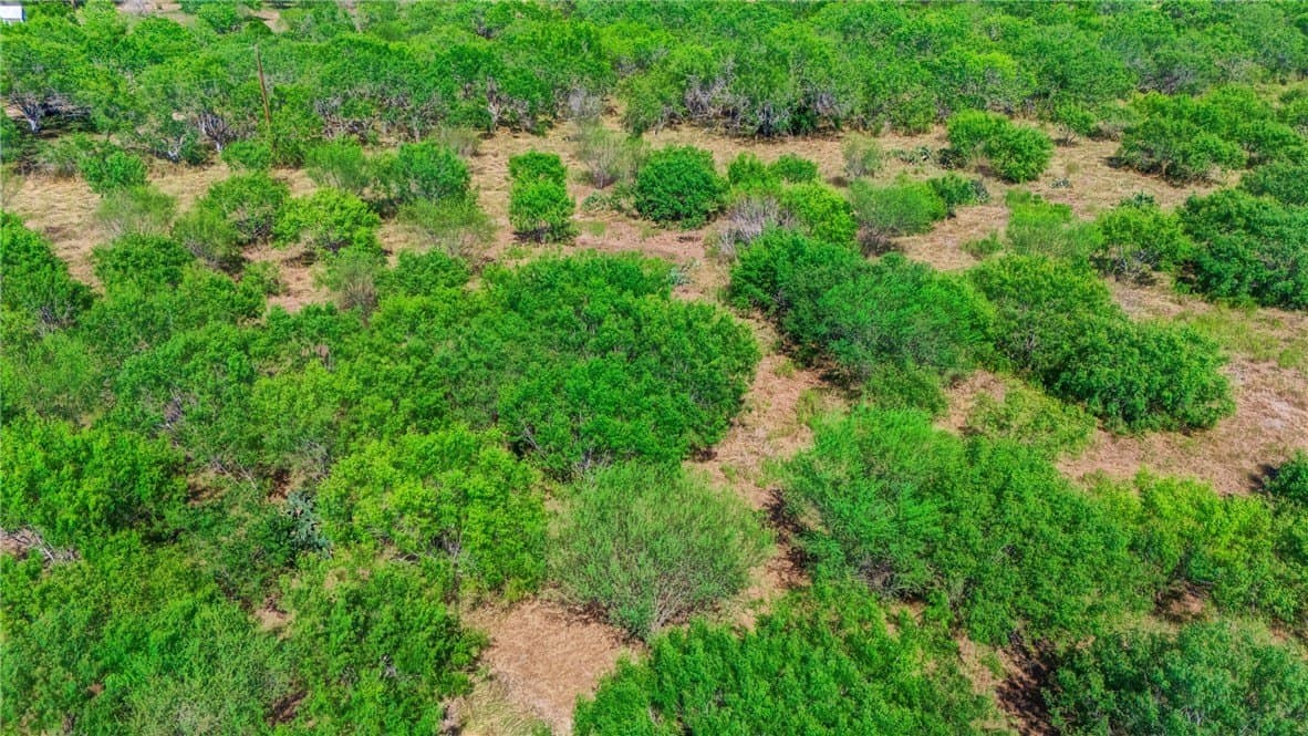 11 acres in San Patricio County - photo 11