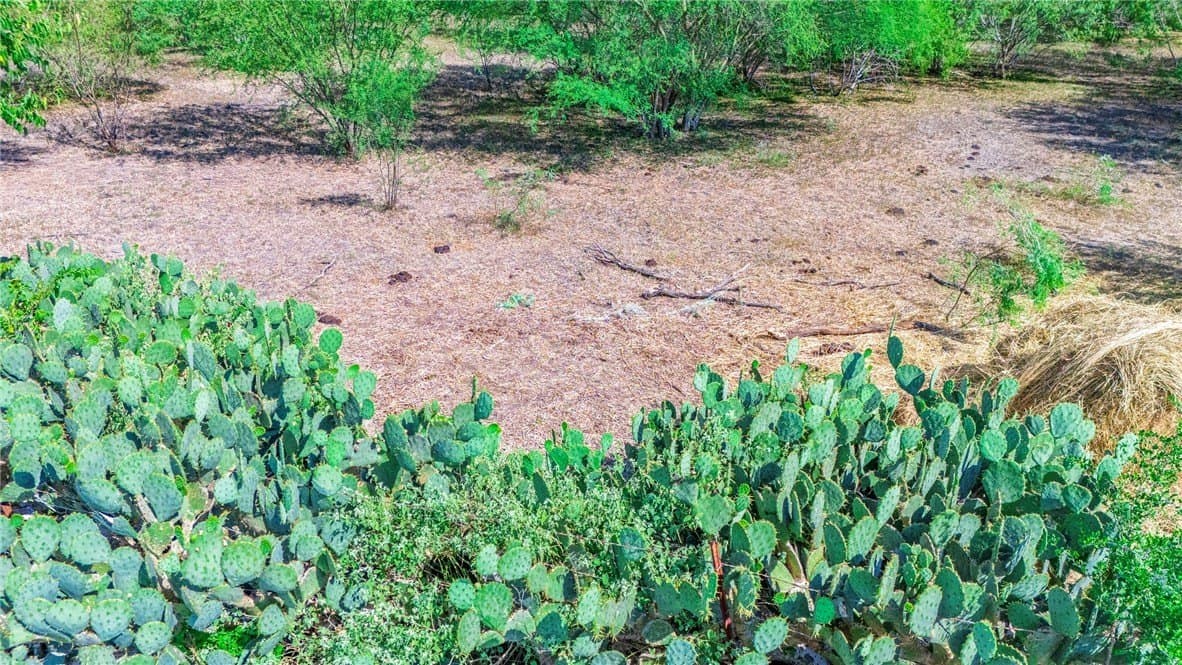 11 acres in San Patricio County - photo 14