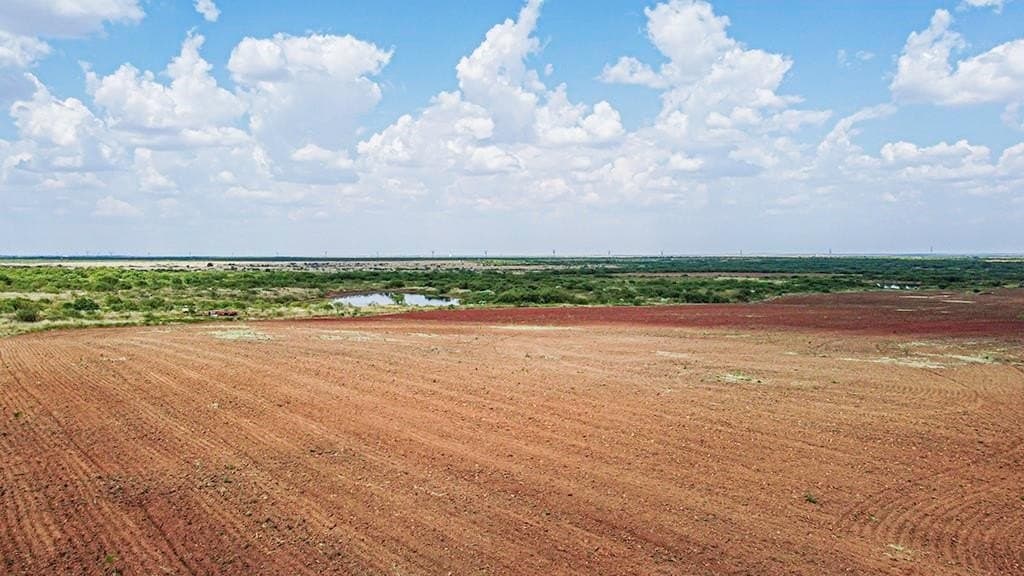 376.75 acres in Wichita County - photo 3