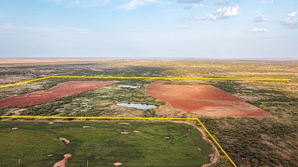 376.75 acres in Wichita County - photo 14