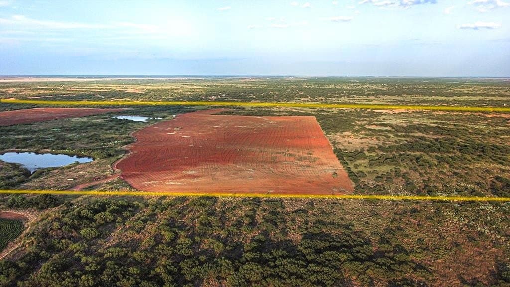 376.75 acres in Wichita County - photo 2