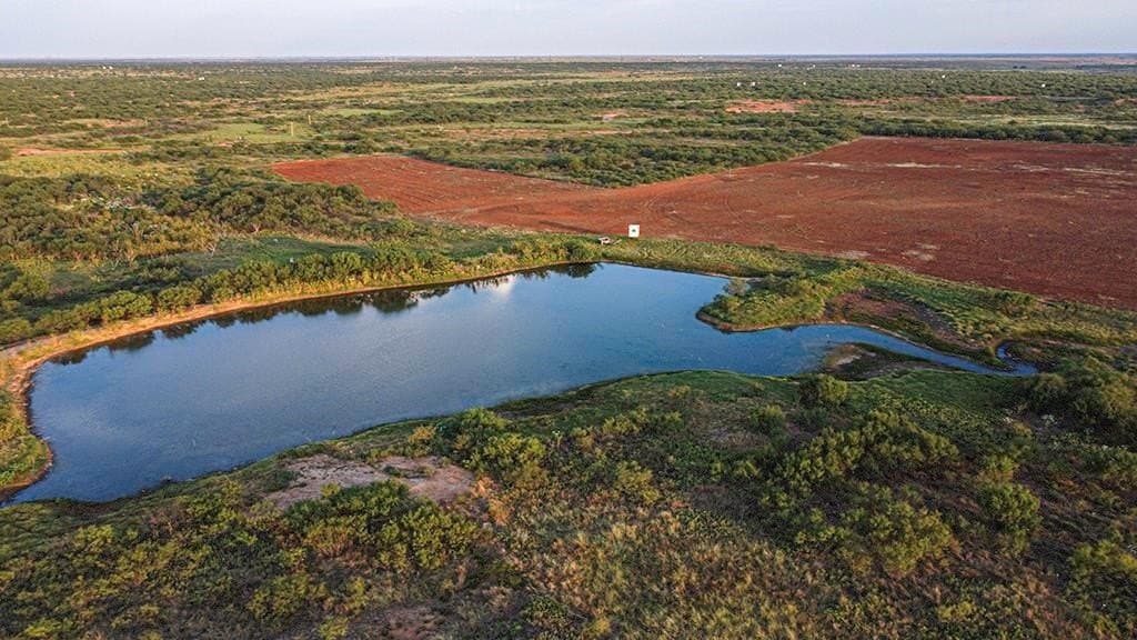 376.75 acres in Wichita County - photo 5