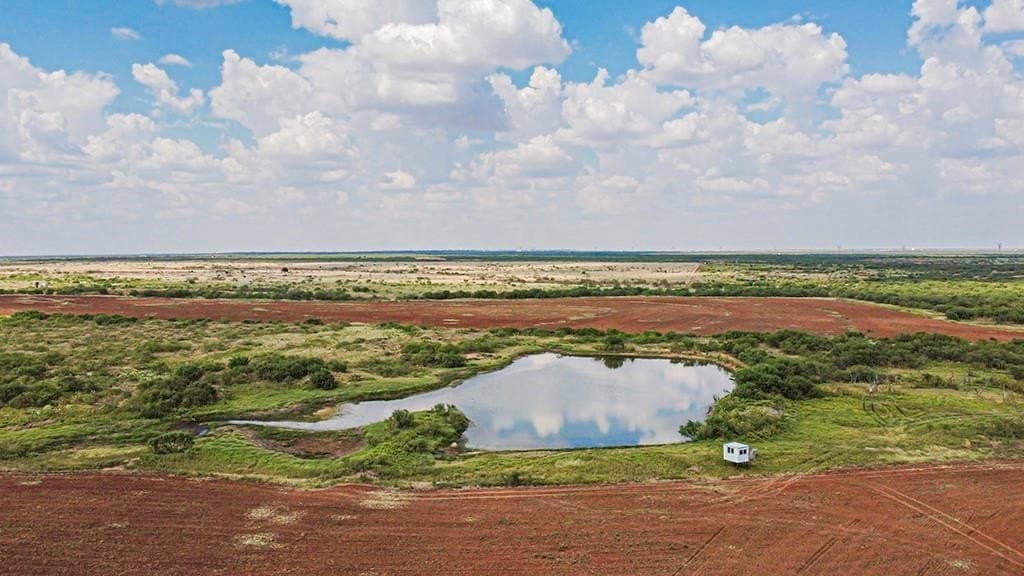 376.75 acres in Wichita County - photo 9
