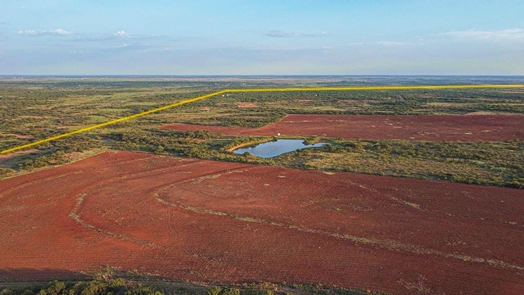 376.75 acres in Wichita County - photo 6