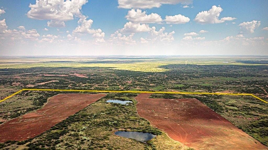 376.75 acres in Wichita County - photo 10