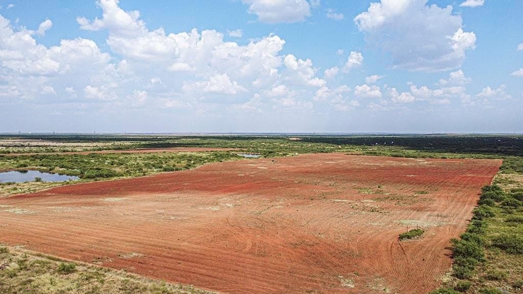 376.75 acres in Wichita County - photo 11