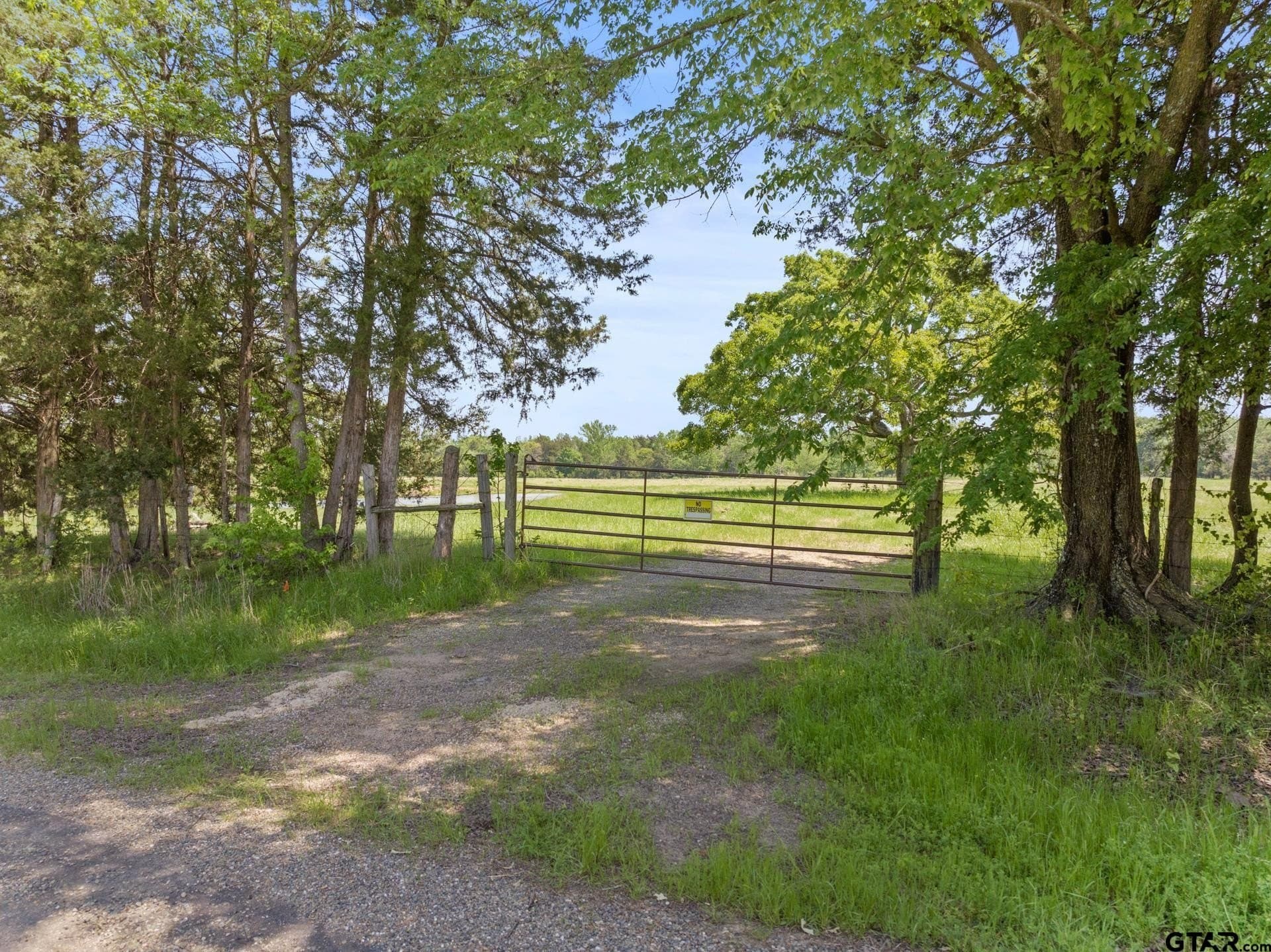 10 acres in Camp County - photo 4