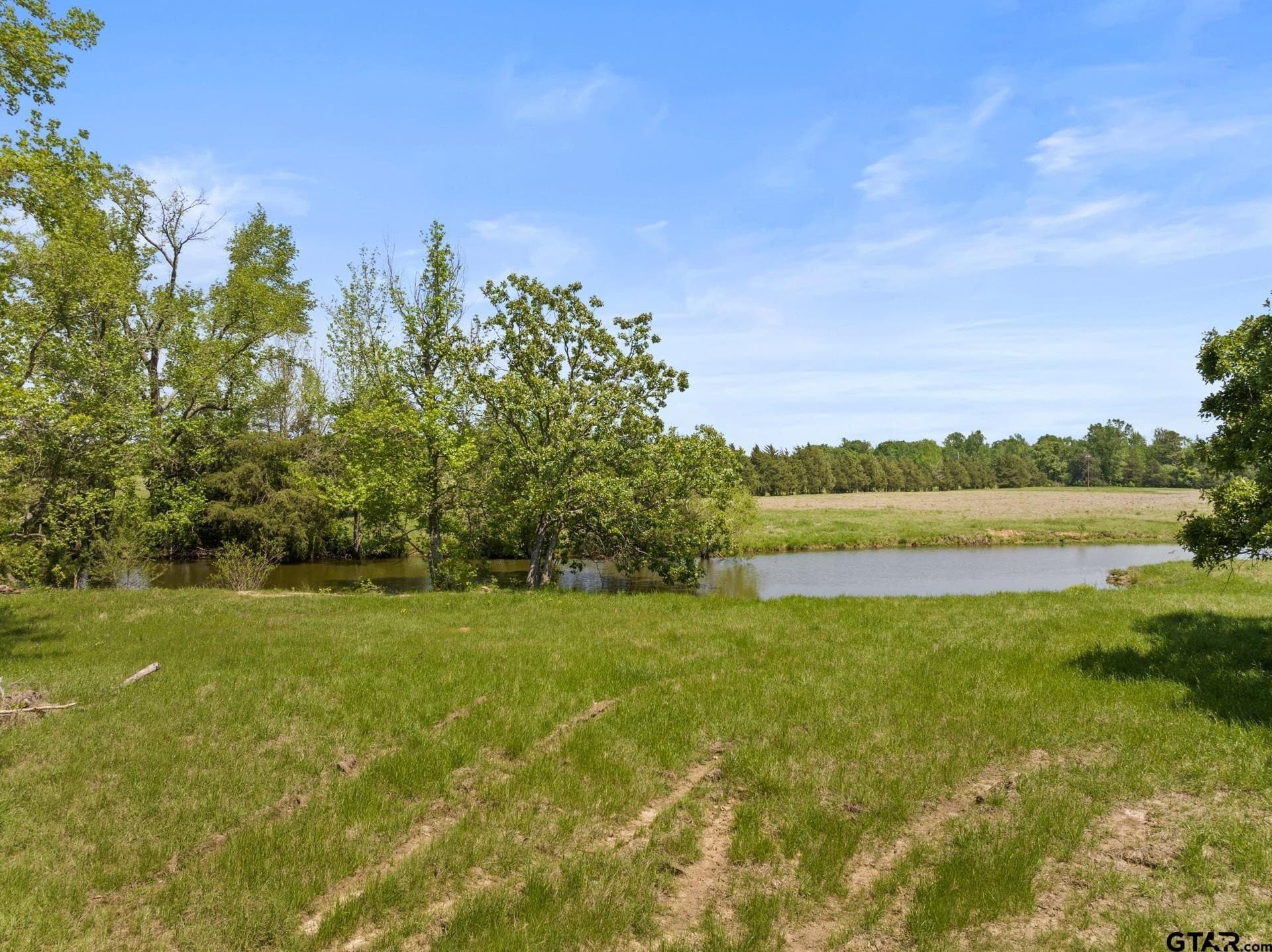 10 acres in Camp County - photo 5