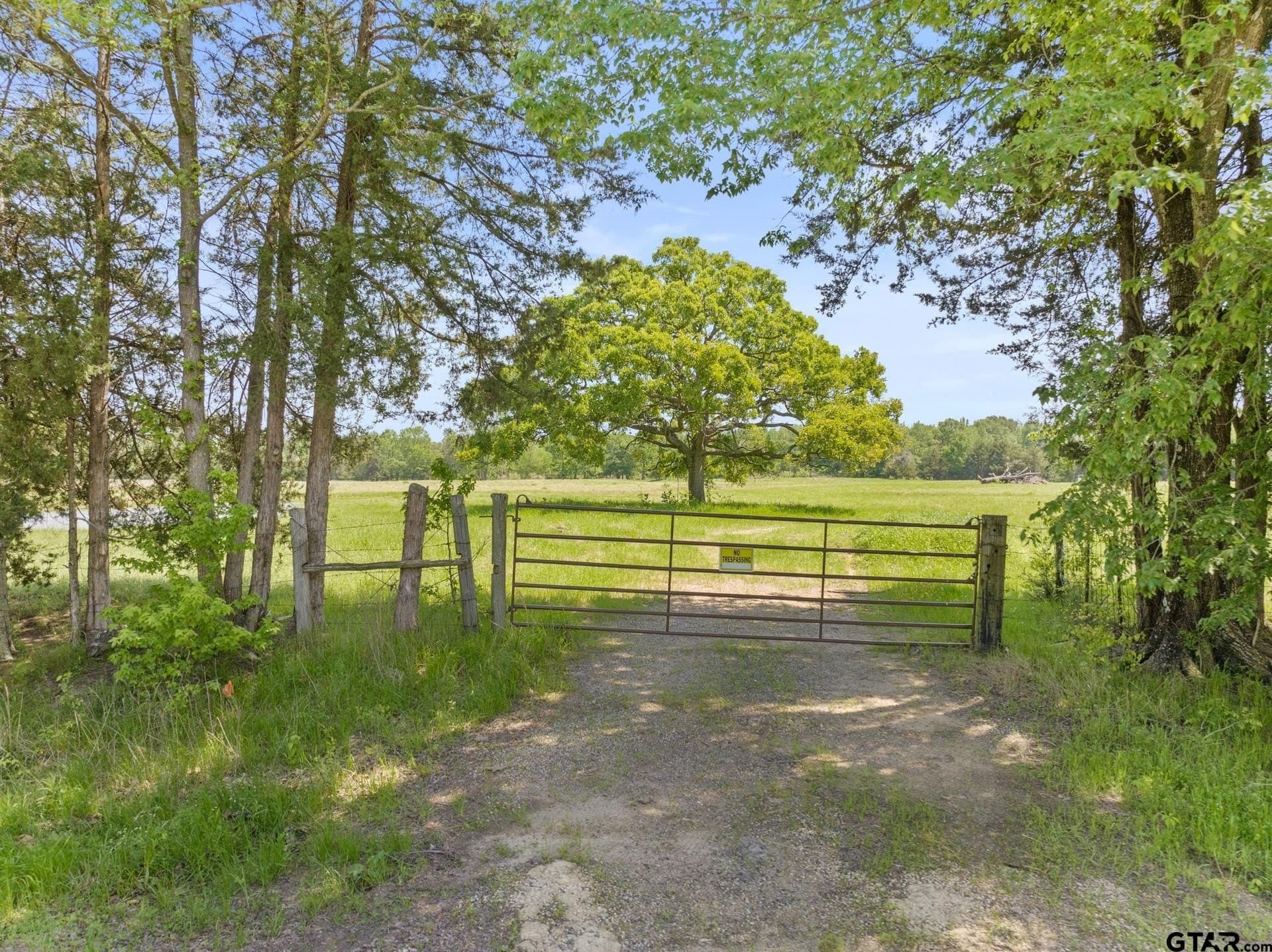10 acres in Camp County - photo 3