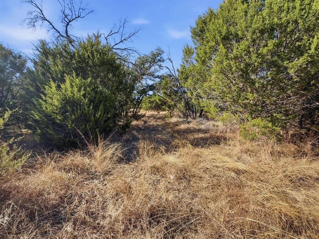 100 acres in Hamilton County - photo 4