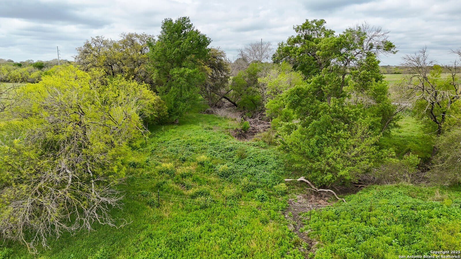 144.38 acres in Medina County - photo 16