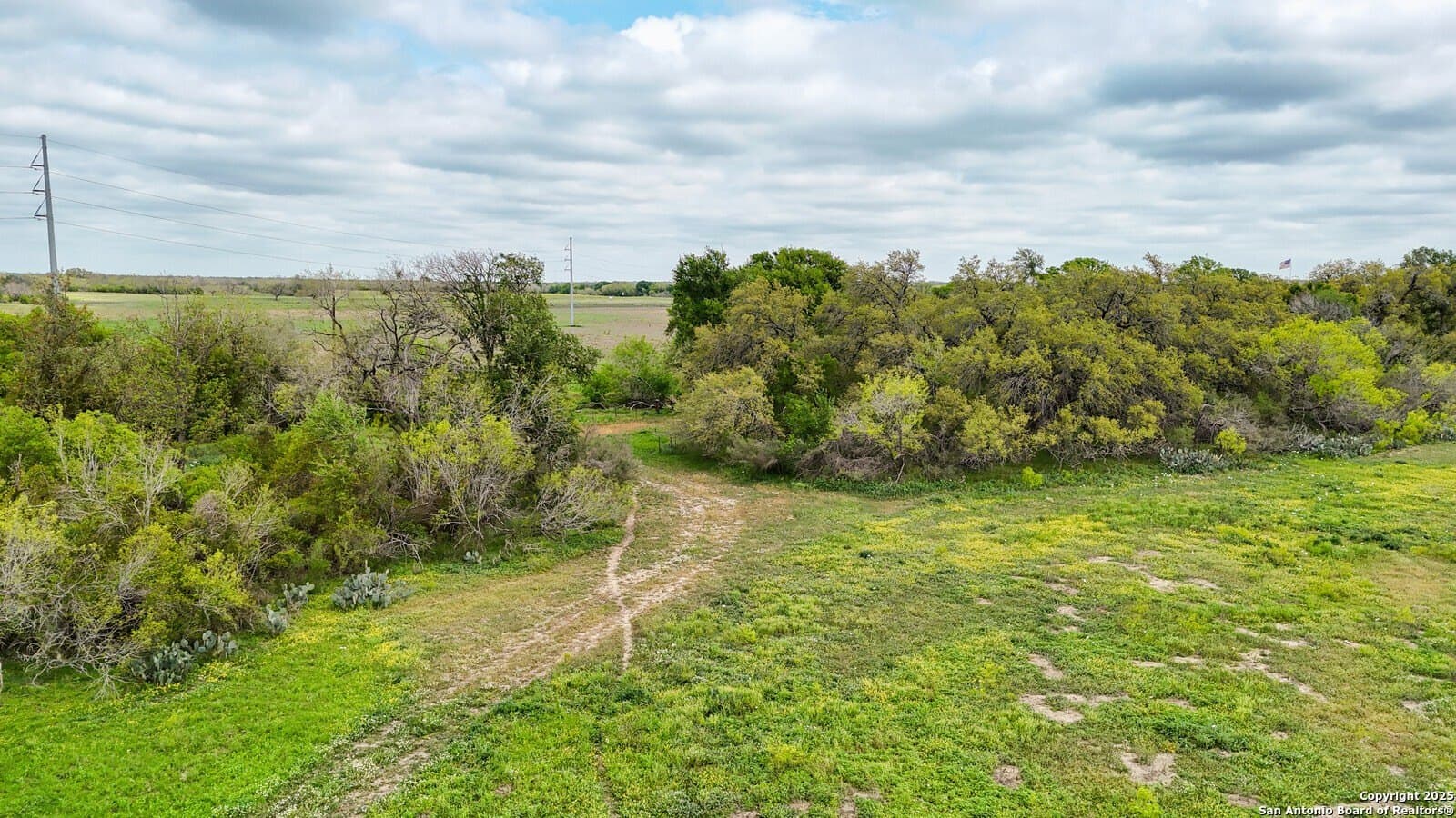 144.38 acres in Medina County - photo 15