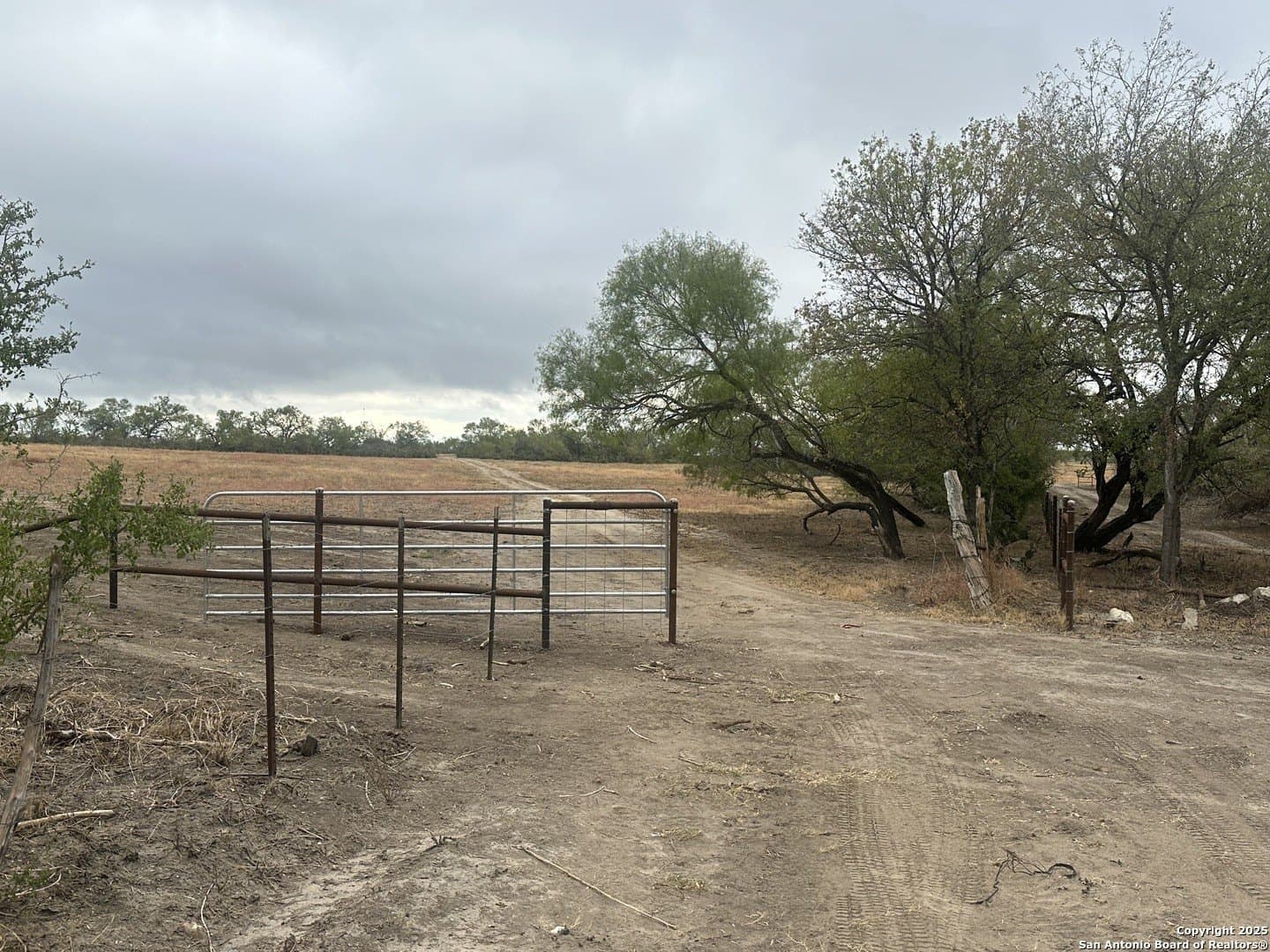 144.38 acres in Medina County - photo 10