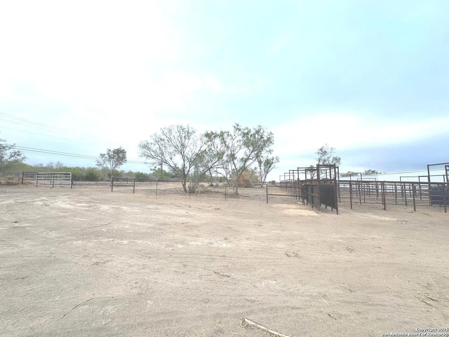 144.38 acres in Medina County - photo 6