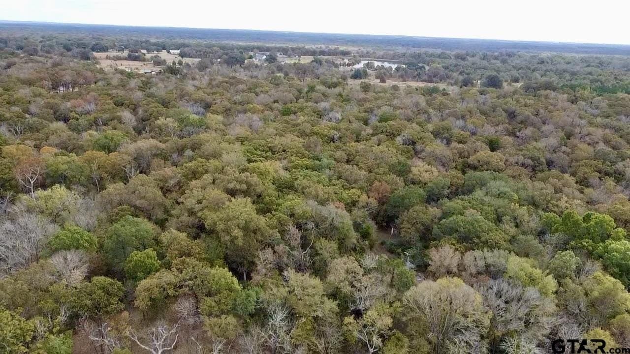 29 acres in Anderson County - photo 4