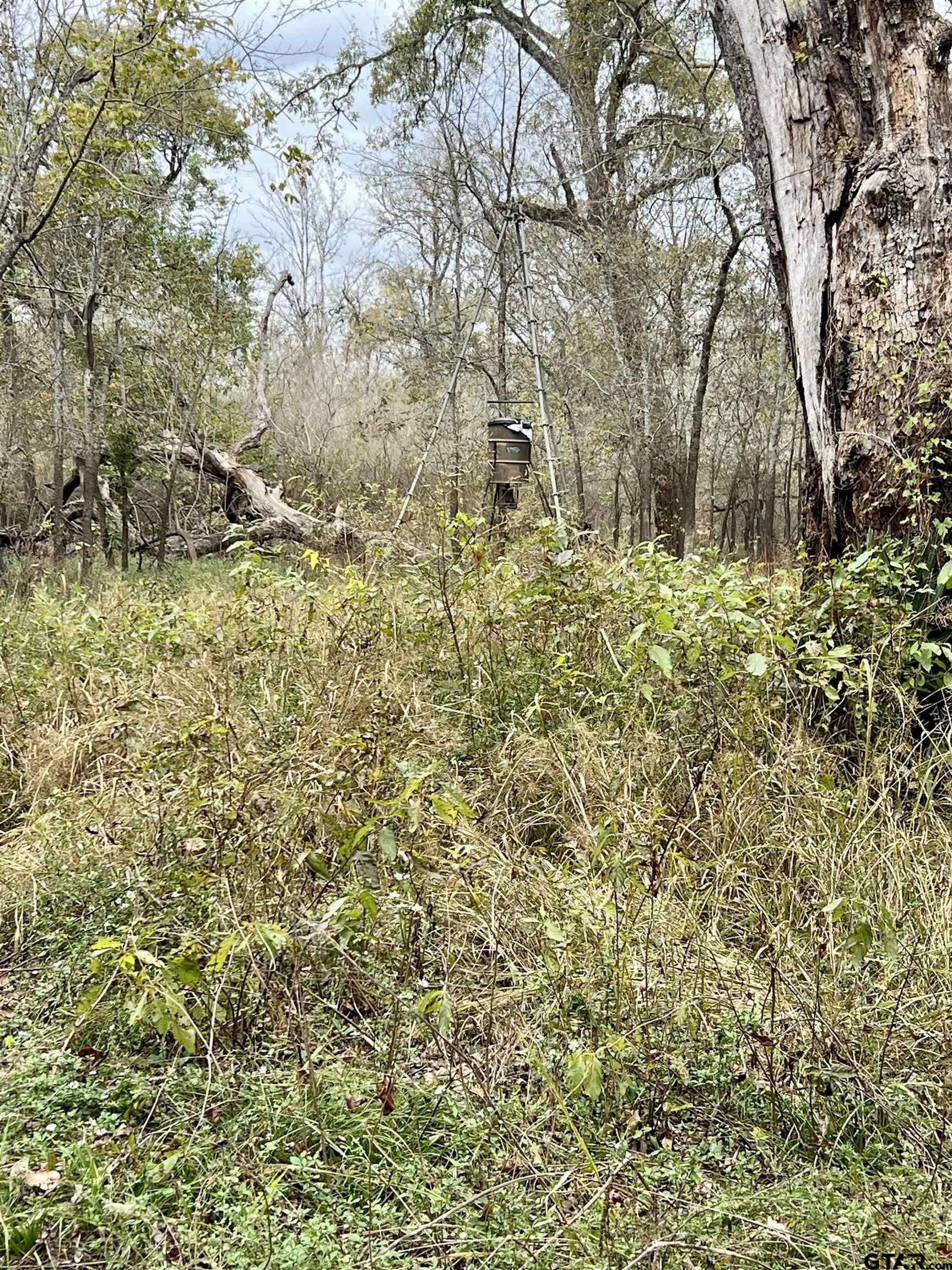 29 acres in Anderson County - photo 19