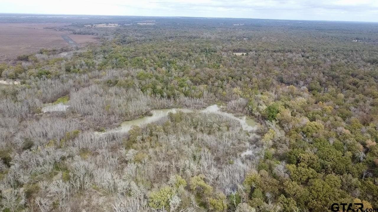 29 acres in Anderson County - photo 22