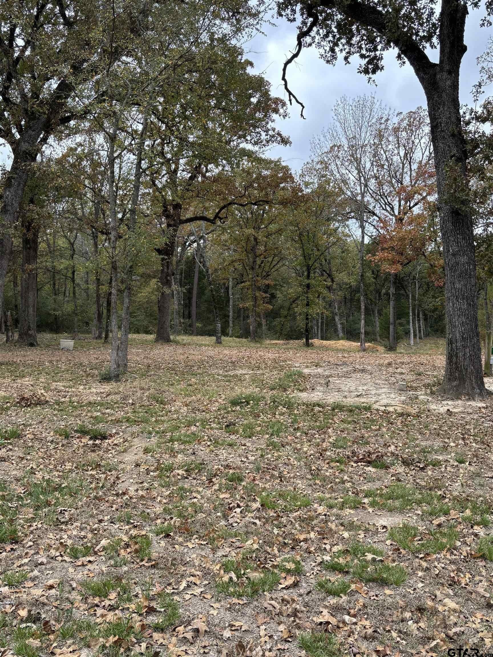 29 acres in Anderson County - photo 12