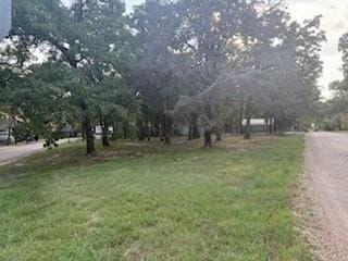 0.58 acres in Henderson County - photo 3