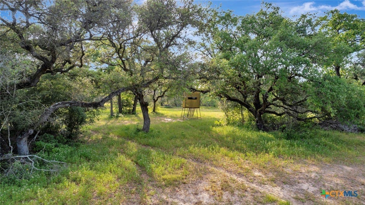 151.65 acres in Jackson County - photo 9