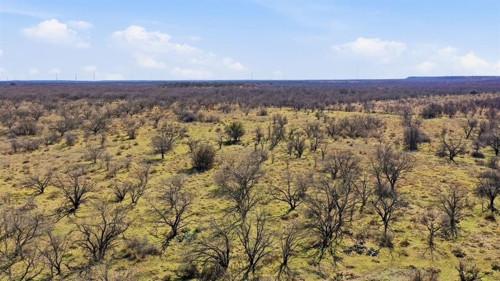 40 acres in Shackelford County - photo 3