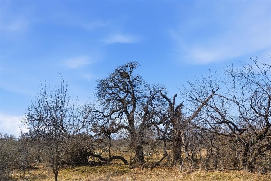 40 acres in Shackelford County - photo 12